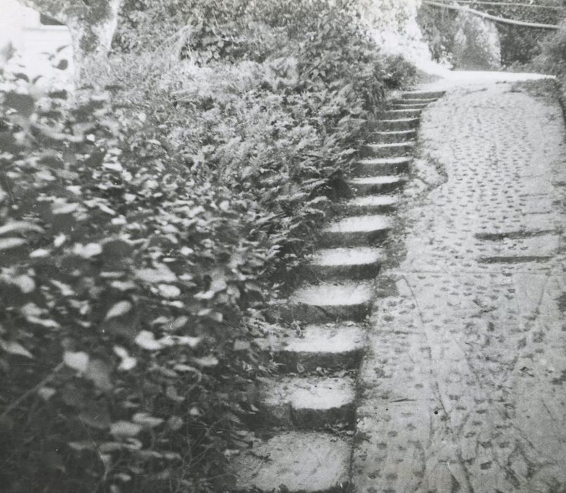 potager, détail d’un escalier taillé dans le schiste