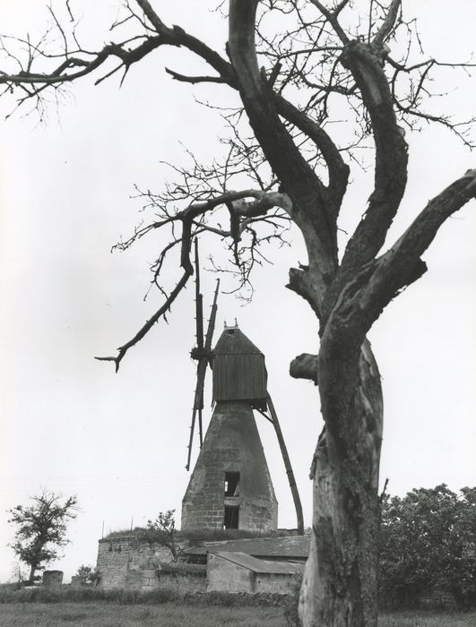 vue générale du moulin dans son environnement