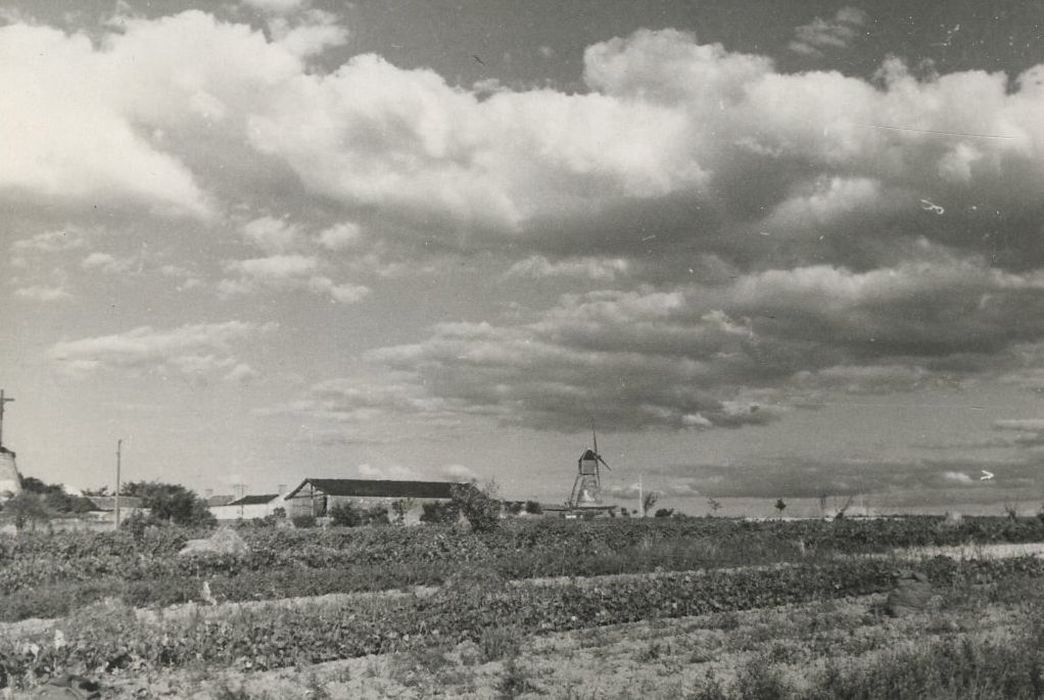 vue générale du moulin dans son environnement