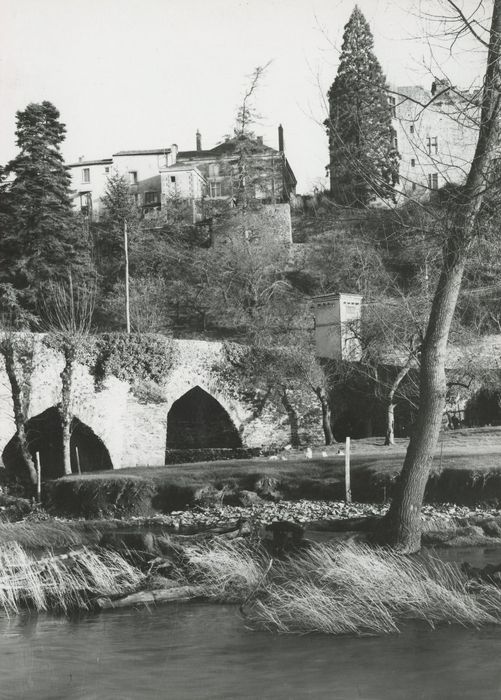 vue générale du pont dans son environnement depuis l’amont