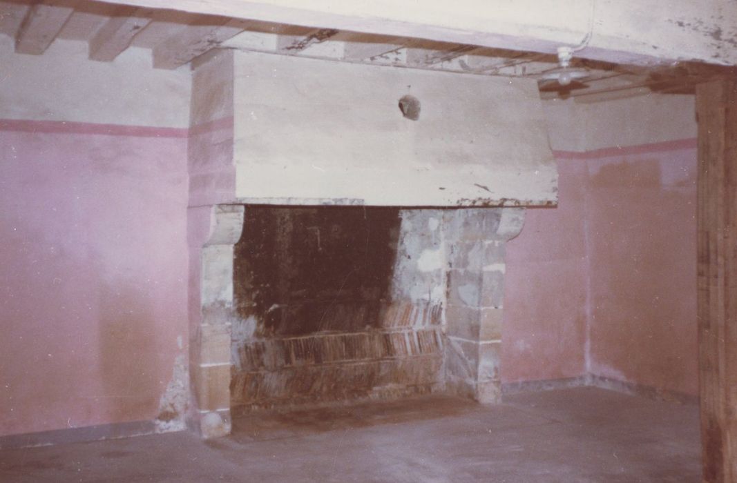 rez-de-chaussée, cheminée monumentale