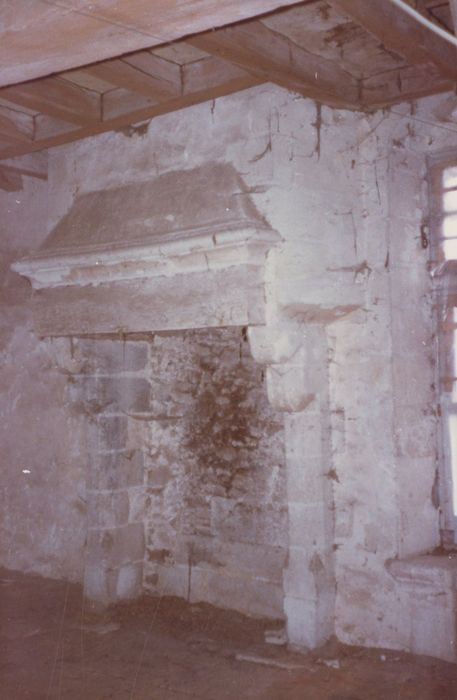 1er étage, cheminée monumentale