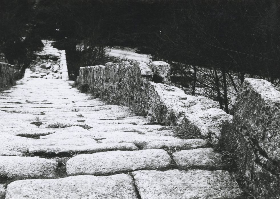 chemin d’accès depuis la rive gauche, détail