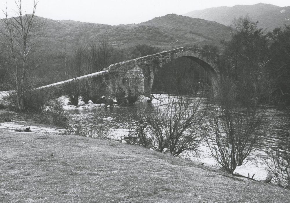 vue générale du pont dans son environnement en amont