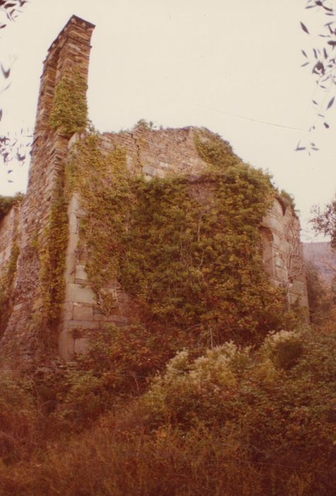 vue partielle des ruines