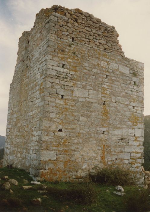 donjon