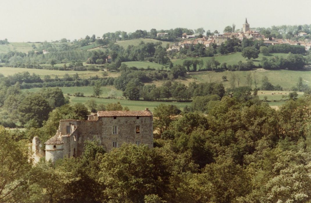 vue générale du château dans son environnement depuis l’Est