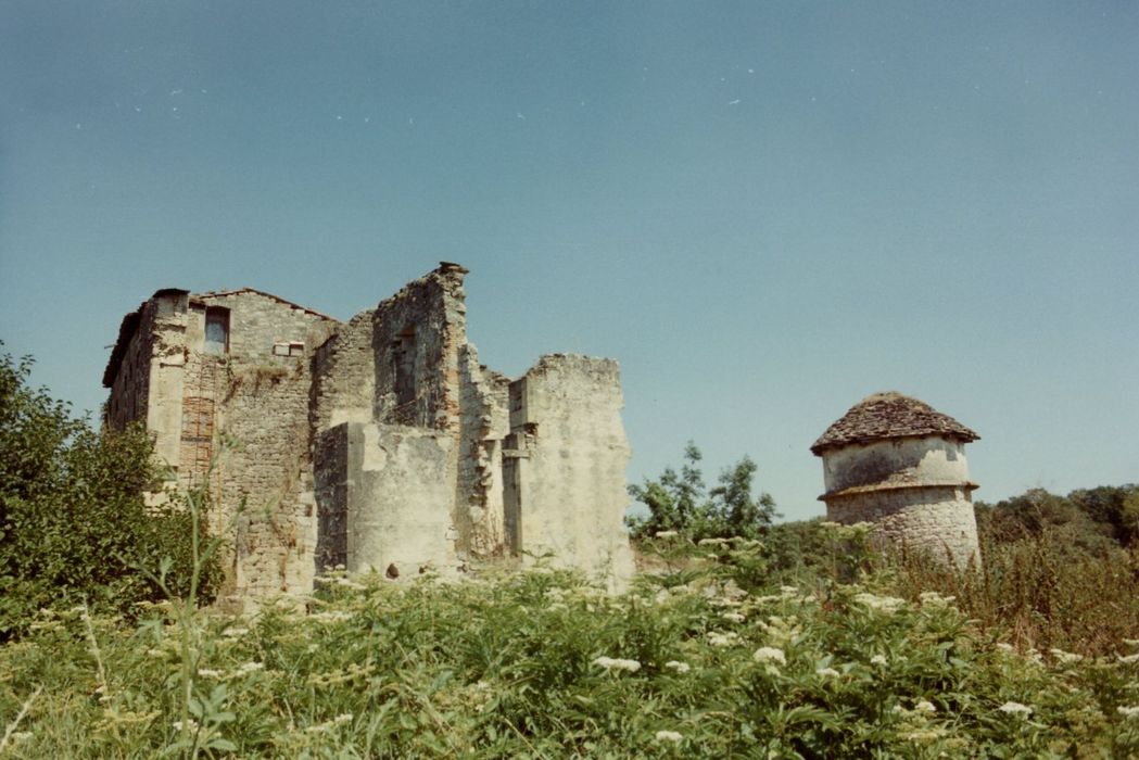 vue partielle des ruines depuis le Sud