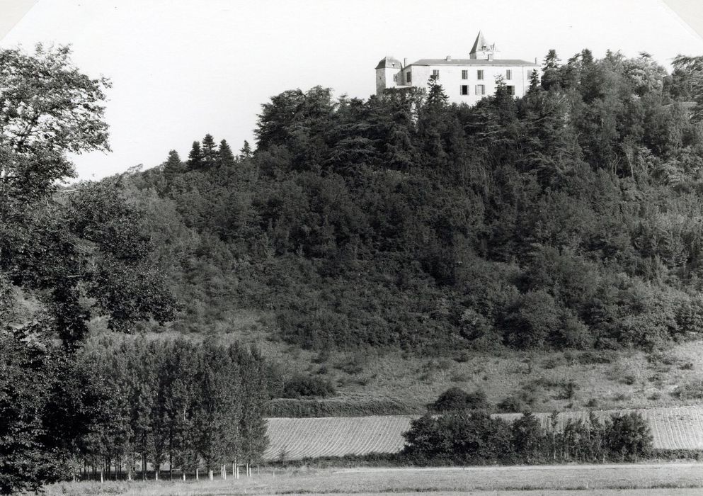 vue partielle du château dans son environnement depuis l’Est