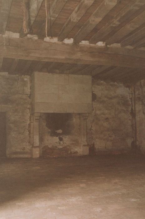 1er étage, salle des gardes, cheminée monumentale