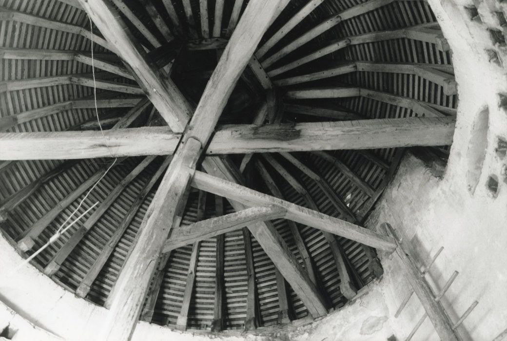 Tour pigeonnier, vue partielle de la charpente