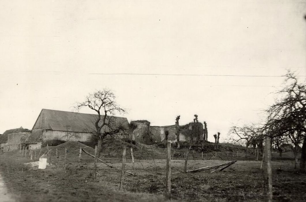 vue générale des vestiges du château depuis l’Est