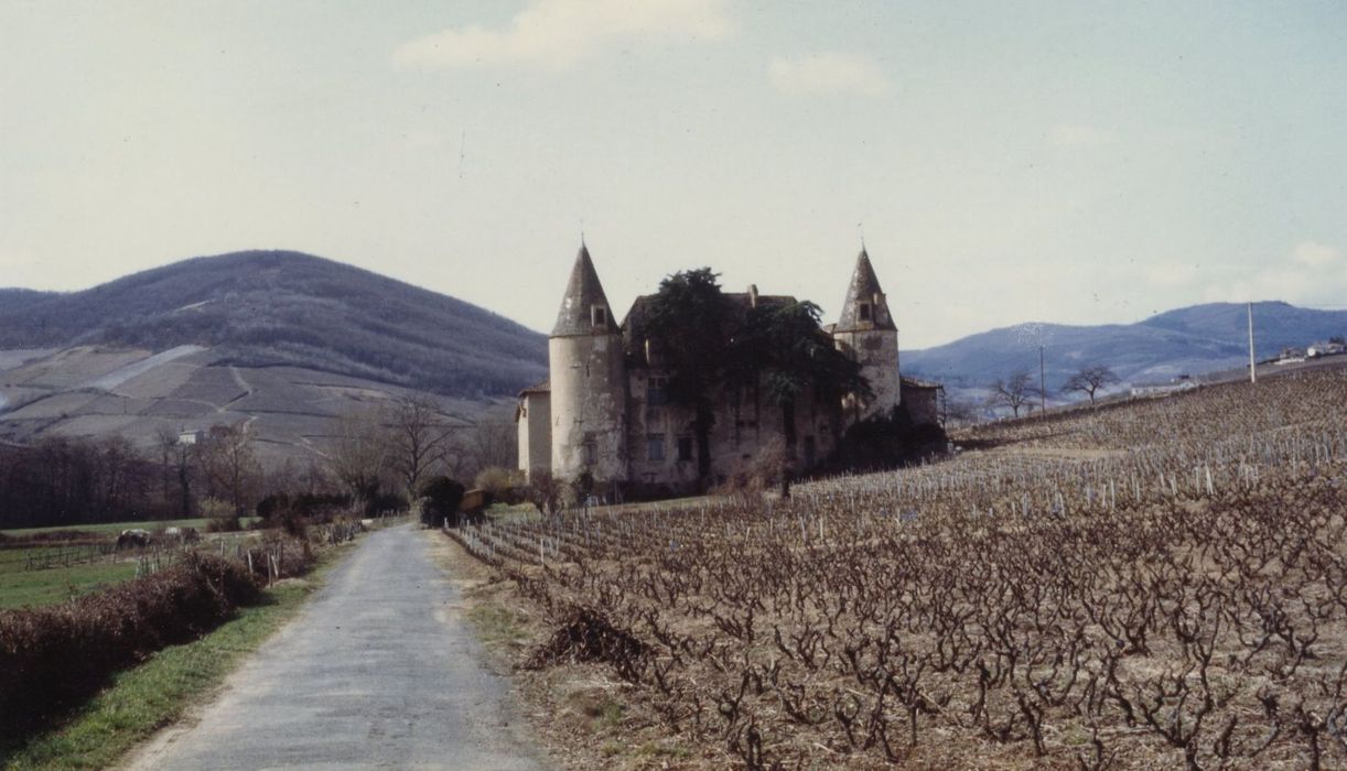 vue générale du château dans son environnement depuis l’Est