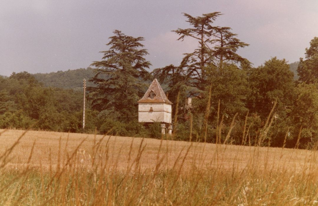 vue générale du pigeonnier dans son environnement