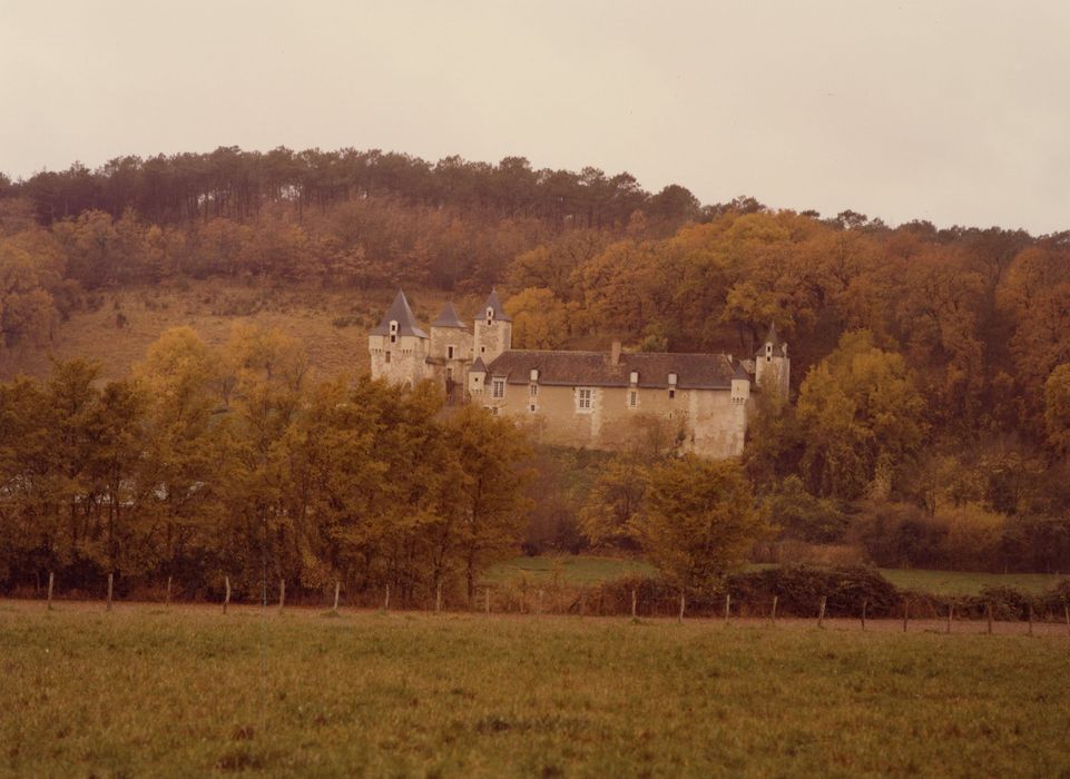 vue partielle du château dans son environnement depuis l’Est
