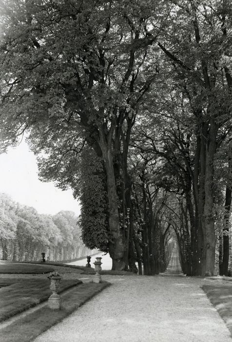 parc, allée de tilleuls en direction du Sud-Ouest