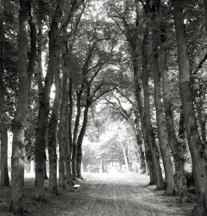 parc, allée non localisée