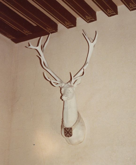 tête de cerf