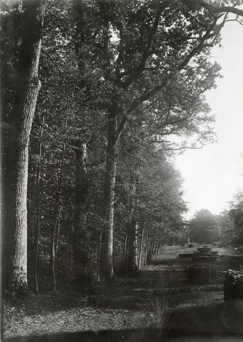 parc, vue partielle