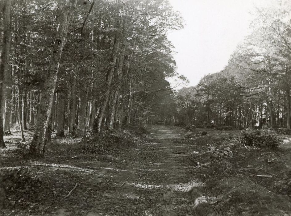 parc, vue partielle