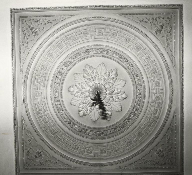 grand salon, plafond