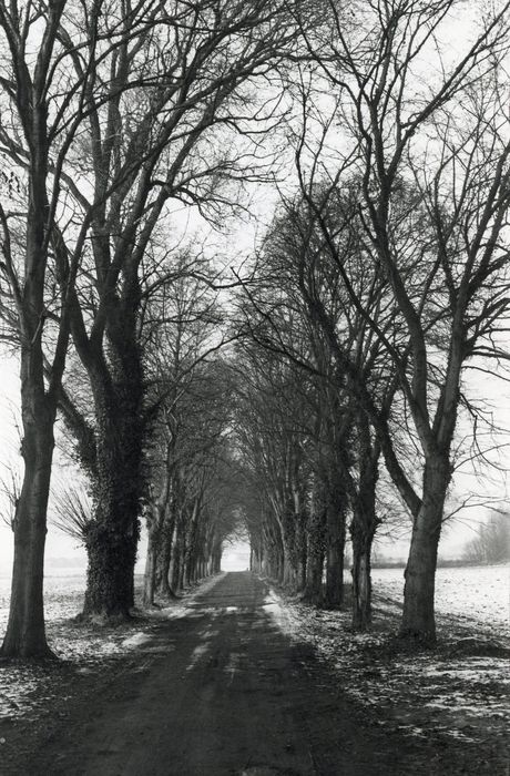 allée d’accès nord-ouest