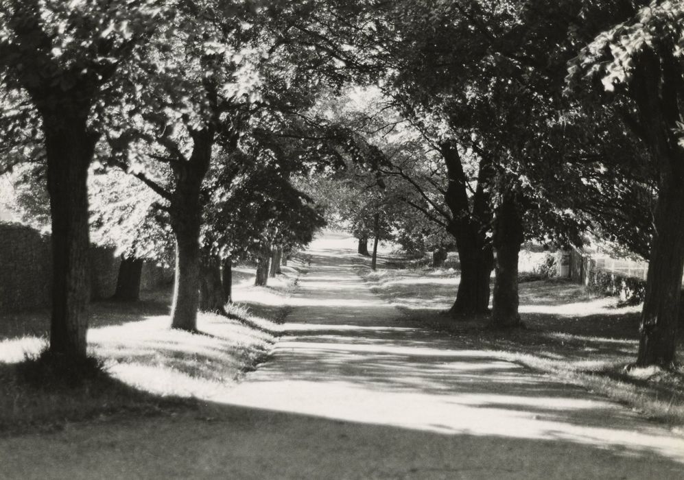 allée d’accès ouest