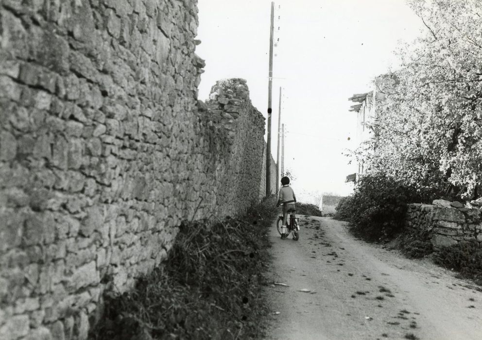 vue partielle du mur d’enceinte ruiné