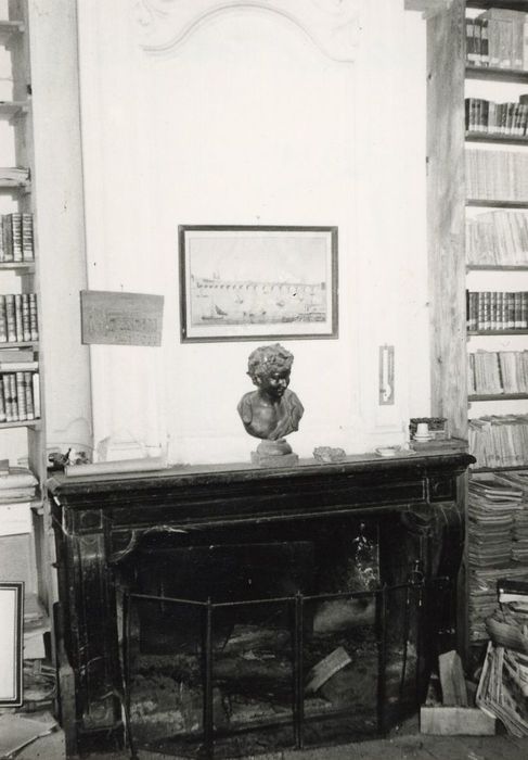 bibliothèque, cheminée