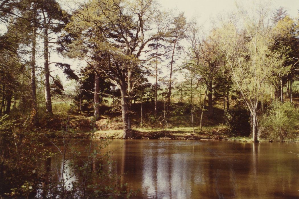 parc, vue partielle