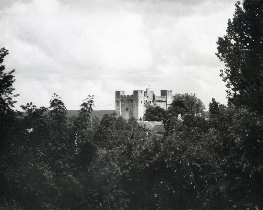 vue partielle du château dans son environnement