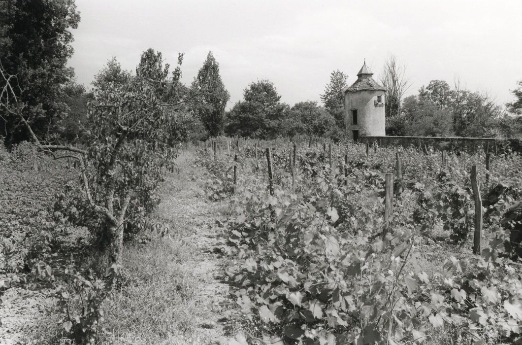 vue générale du pigeonnier dans son environnement