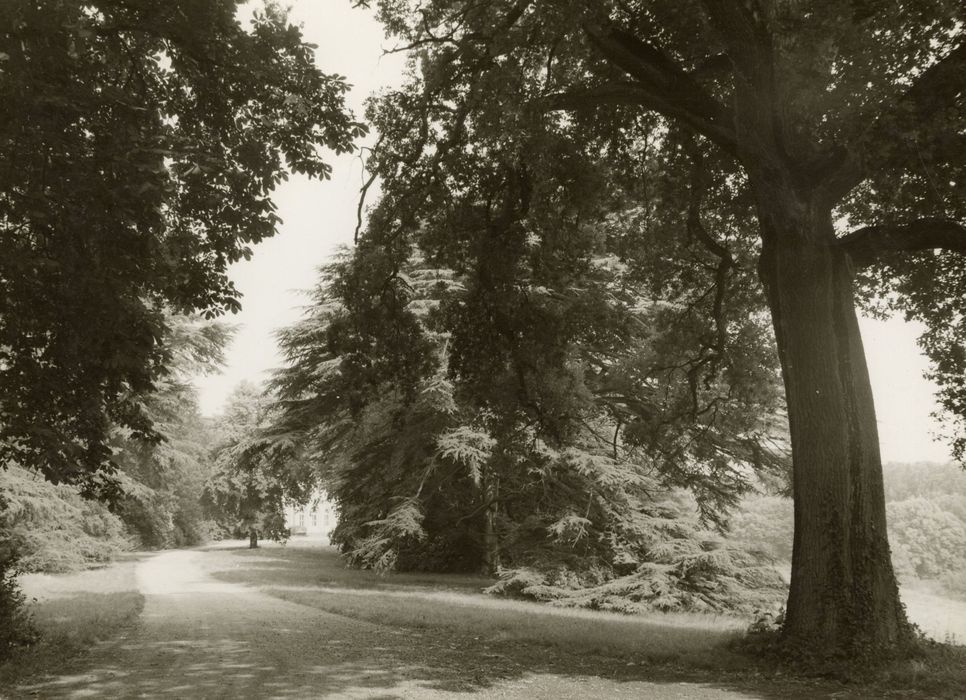 parc, vue générale d’une allée