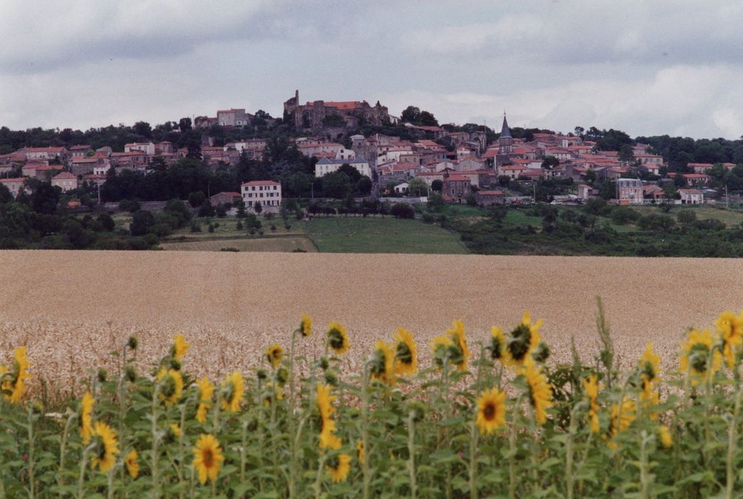 vue générale du château dans son environnement depuis le Sud