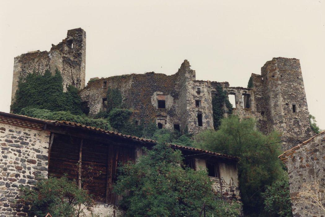 vue partielle des ruines depuis le Sud