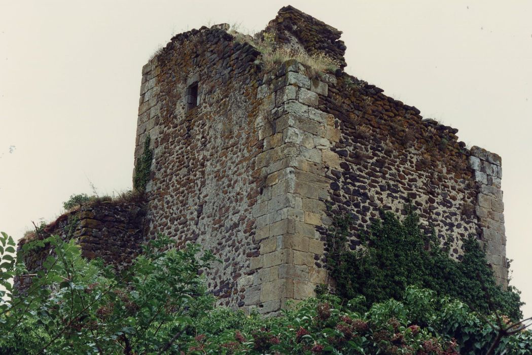 vue partielle des ruines, donjon, élévations est et nord