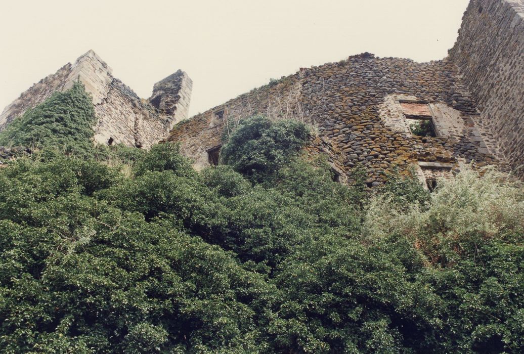 vue partielle des ruines, donjon, et courtines sud