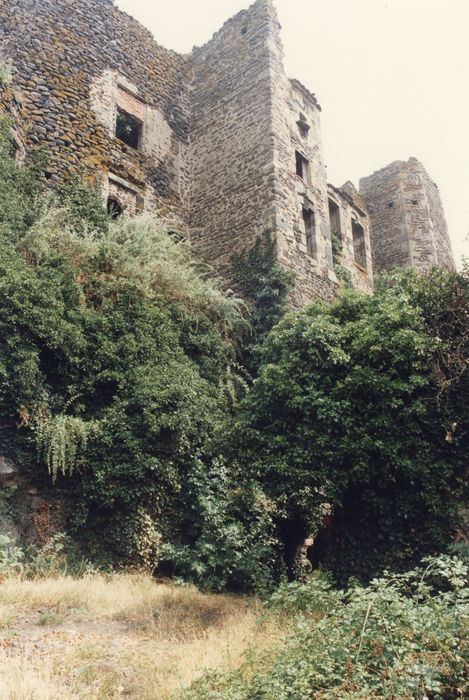 vue partielle des ruines, courtines et tours sud