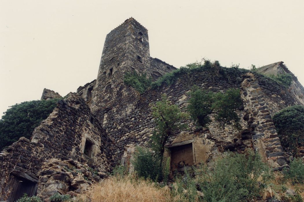 vue partielle des ruines, tour sud-est et bec oriental