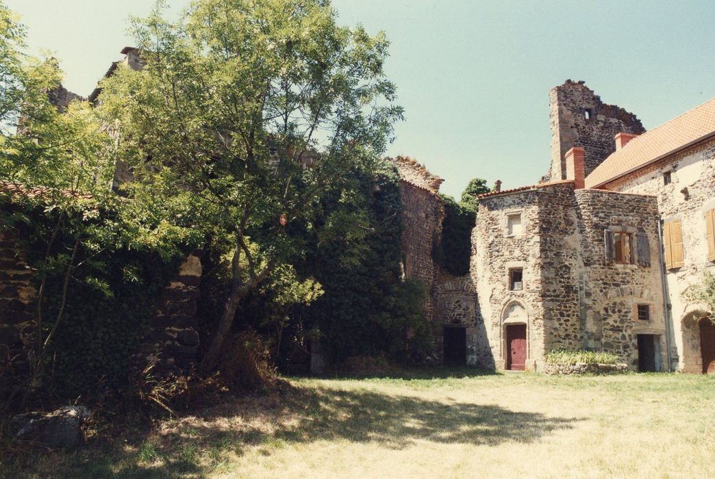 vue partielle des ruines, cour intérieure, élévation est