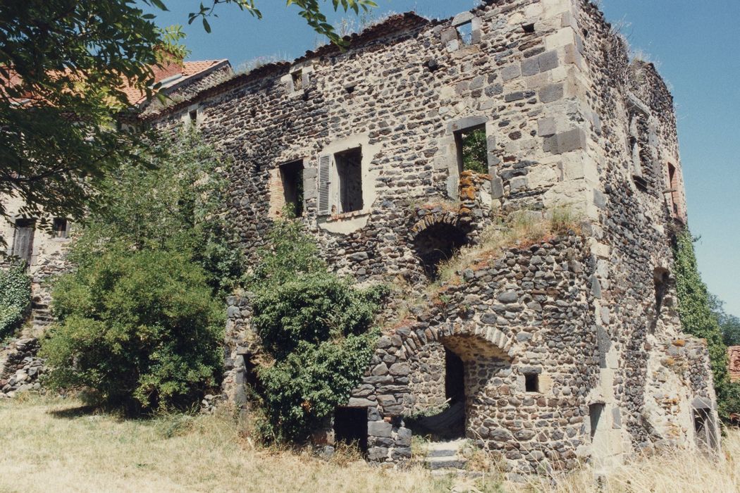 vue partielle des ruines, cour intérieure, logis nord-est, façades sud et est