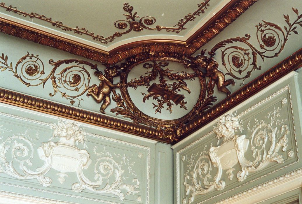 rez-de-chaussée, grand salon est, détail du décor
