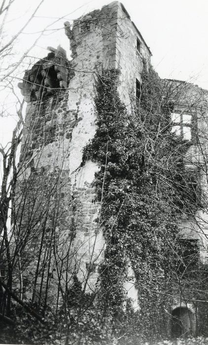 vue partielle des ruines, tour angulaire nord-ouest