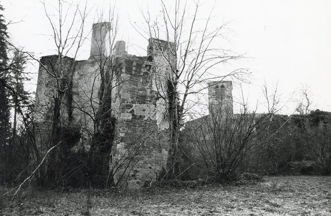 vue générale des ruines depuis le Nord