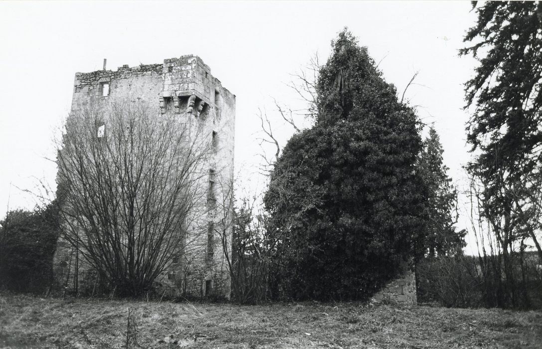 donjon, vue générale des ruines depuis le Sud-Est