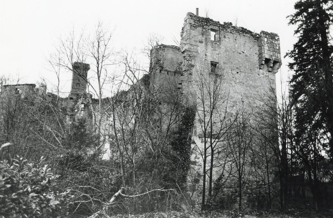 vue partielle ds ruines depuis le Sud