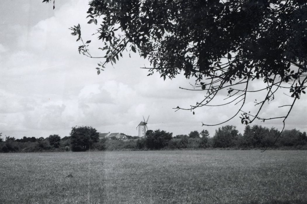 vue générale du moulin dans son environnement