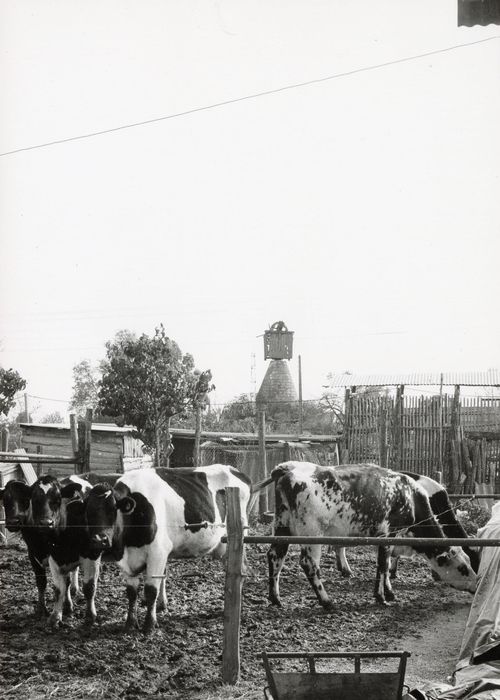 vue générale du moulin dans son environnement