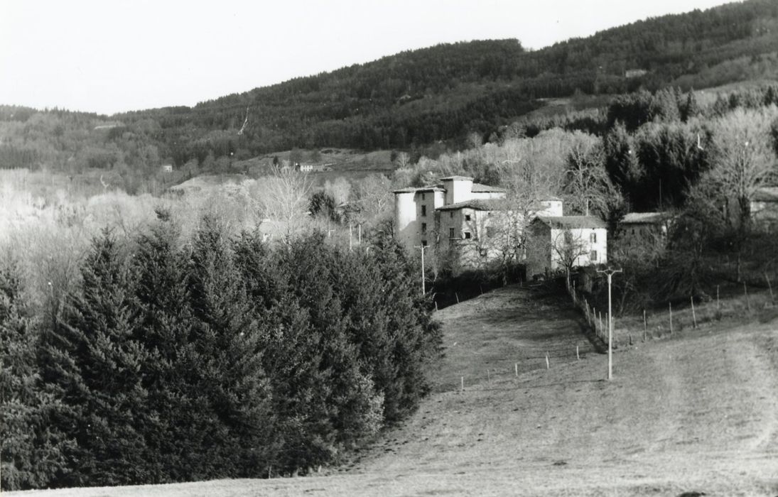 vue partielle du château dans son environnement depuis le Sud