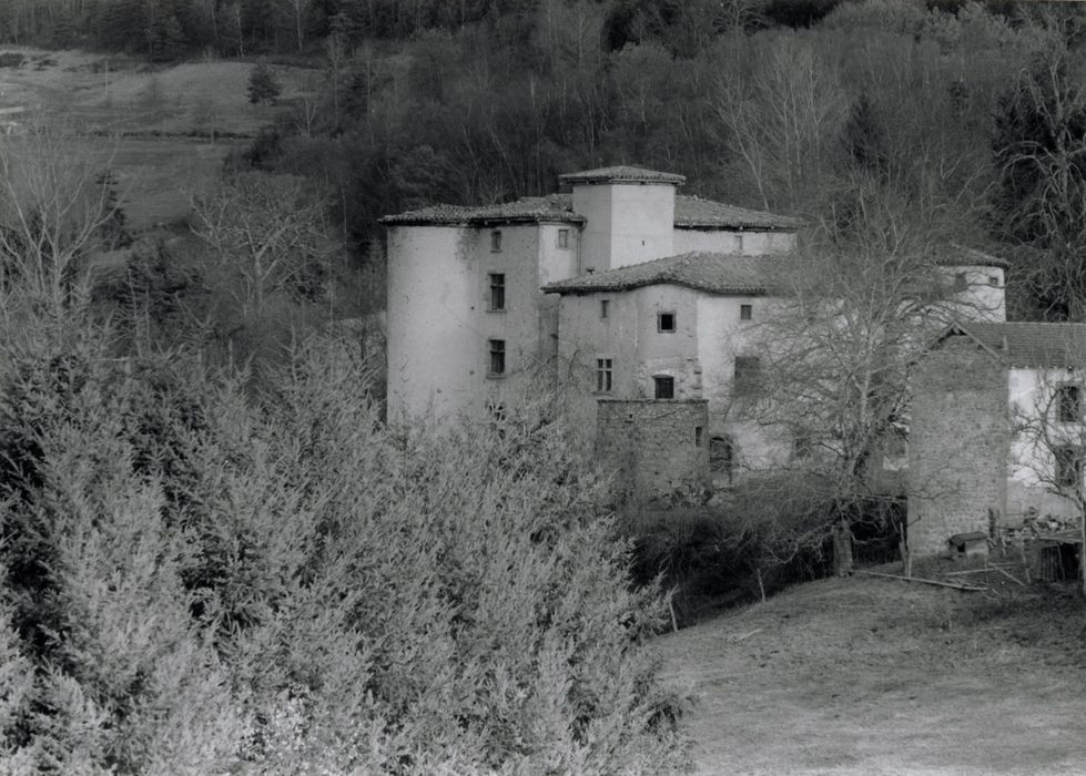 vue partielle du château dans son environnement depuis le Sud-Ouest